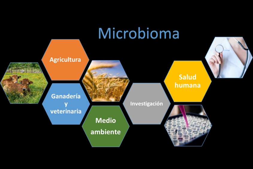 Seqplexing y el Día Mundial del Microbioma